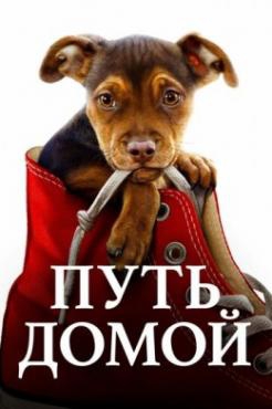Смотреть фильм Путь домой