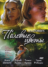 Полевые цветы