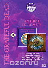 The Grateful Dead: Anthem to Beauty
