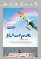 Метеоидиот