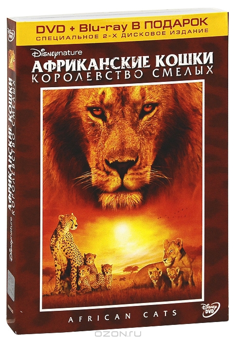 Африканские кошки: Королевство смелых
